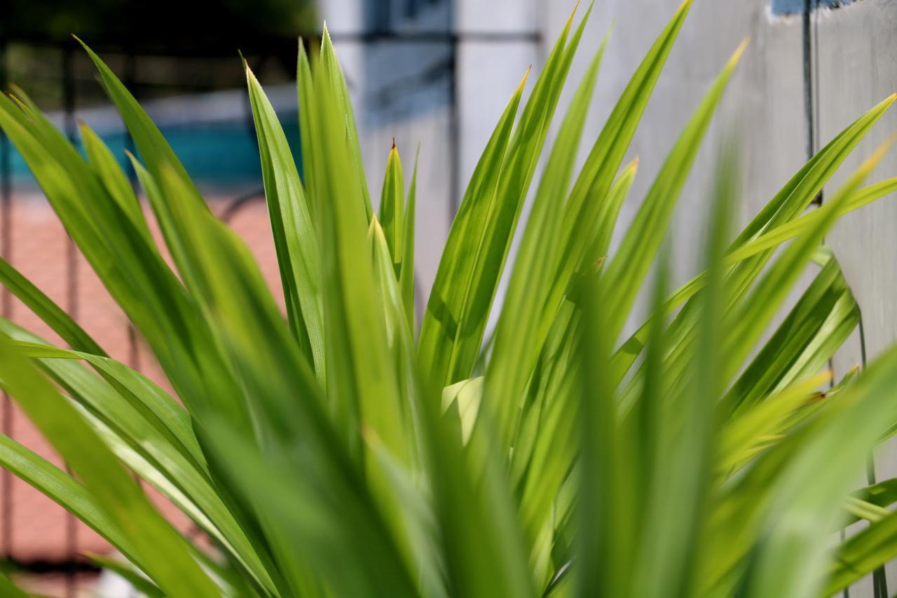 Corner9 Bassac Boutique Hotel Phnom Penh Bagian luar foto